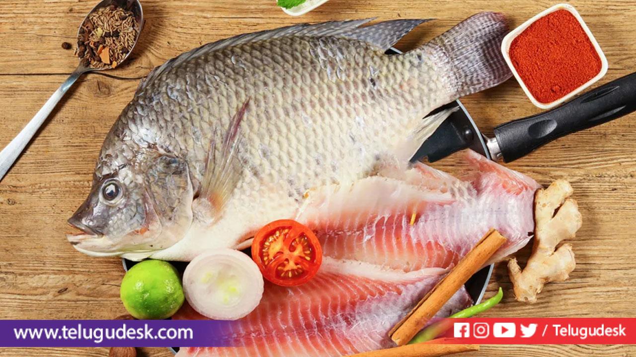 Apollo Fish - అపోలో ఫిష్ తినడం వల్ల కలిగే ఉపయోగాలు..! ఆరోగ్య ప్రయోజనాల ...